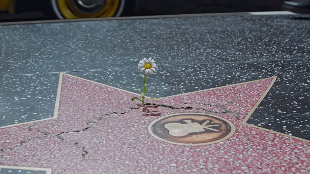 White flower growing through a cracked pink star in Ariana Grande's Petal music video